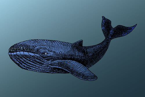 Moby Dick