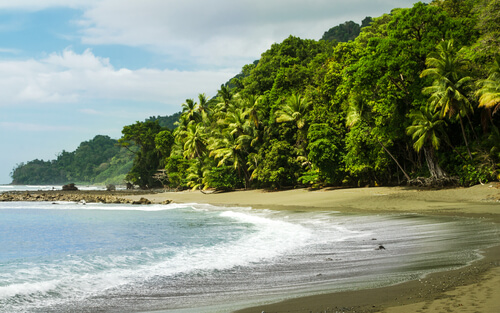 Parque Nacional Corcovado