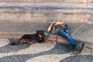 5 preciosas rutas para recorrer Europa con tu perro
