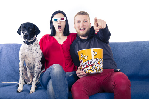 Ver películas con perros