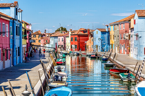 Viajar a Venecia con perro