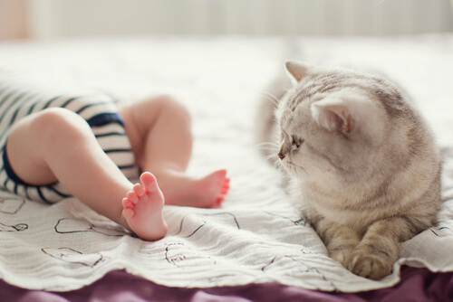 A baby and a cat.