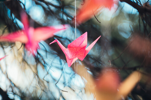 Paper cranes.