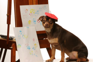 Nombres artísticos para perros