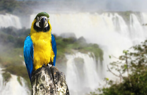 5 parques nacionales de Argentina 5 parques nacionales de Argentina