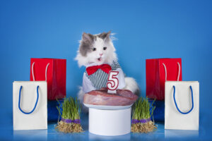 Un pastel de carne para tu gato