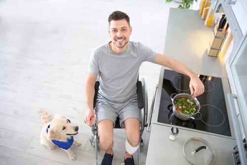 Sopa casera para perros