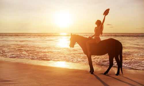 Caballo por la playa