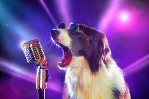 8 canciones sobre perros que no conocías