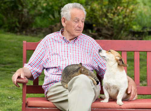 Las mascotas nos ayudan a vivir más años
