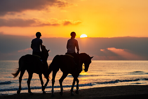 Paseo a caballo en la playa