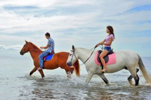 ¿Puedo pasear con mi caballo por la playa?