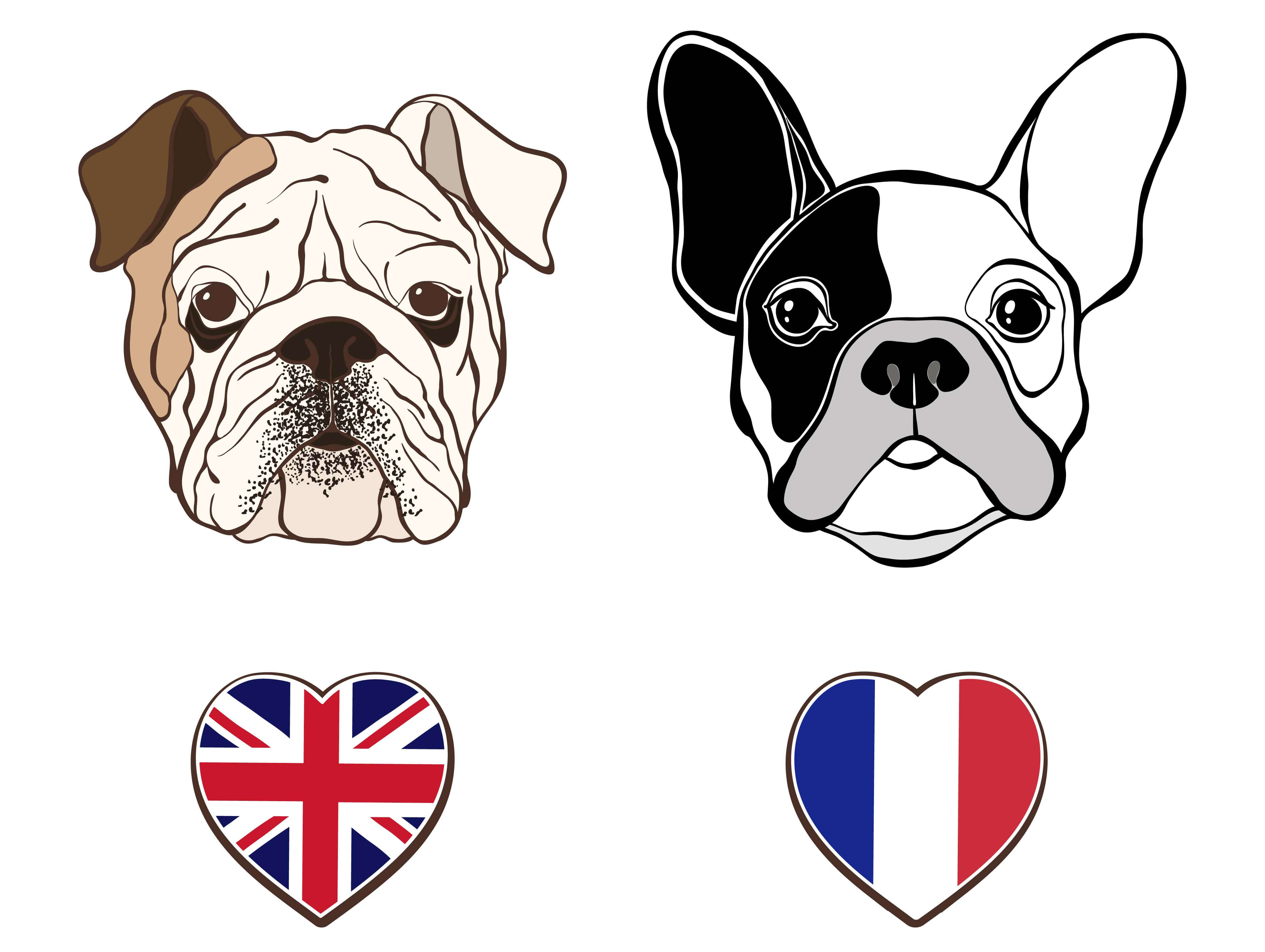 Bulldog inglés y francés: diferencias