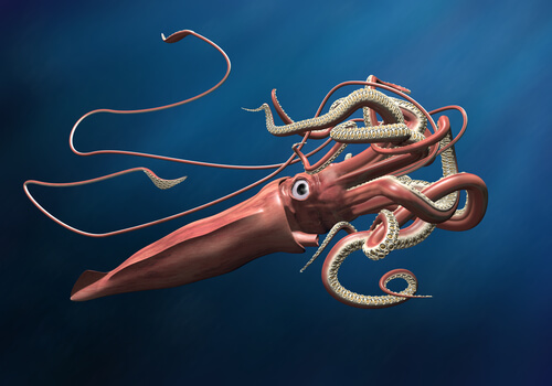 Calamar colosal o Mesonychoteuthis hamiltoni