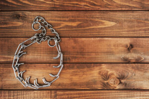 Collares para perros prohibidos por ley
