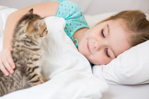 ¿Los gatos son buenas mascotas para los niños?