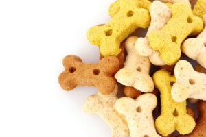 Snacks que no debes dar a tu perro