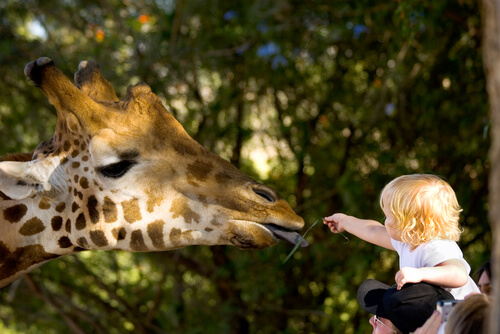 Zoológico con niños