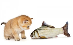 Anécdotas caseras sobre gatos
