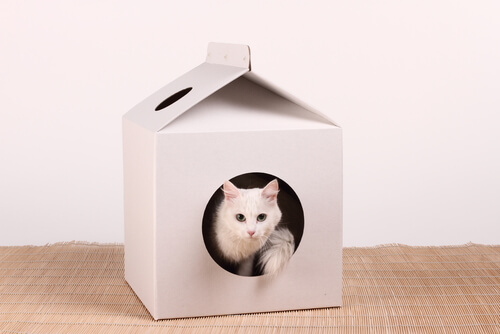 Casa para gatos de cartón