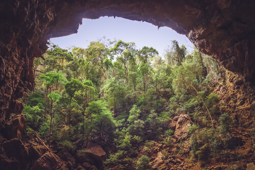 Cuevas de Madagascar