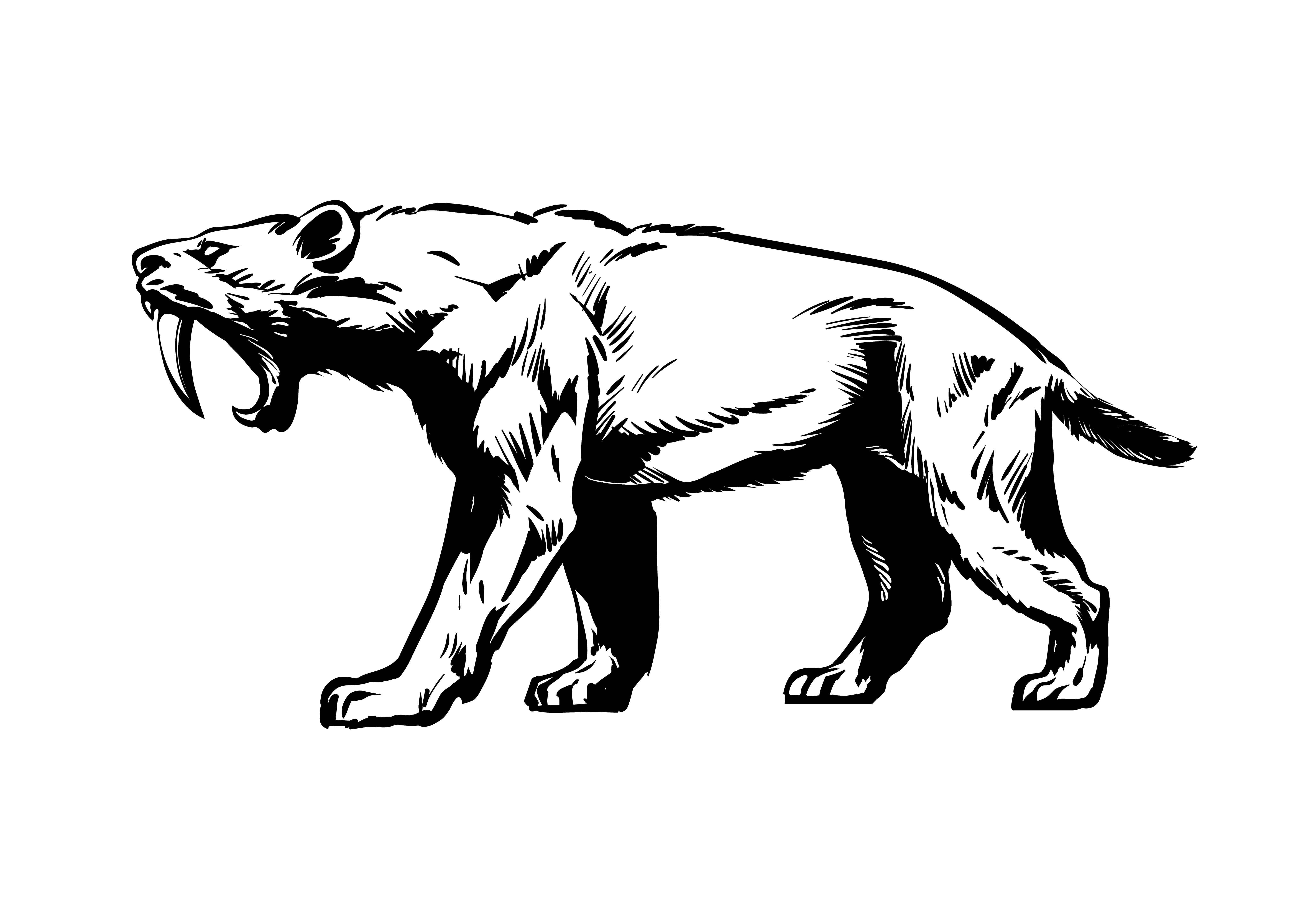 Félidos extintos: Smilidon
