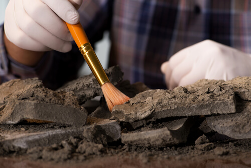 fosil üzerinde çalışan arkeolog