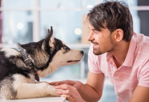 Conoce todo sobre telepatía animal