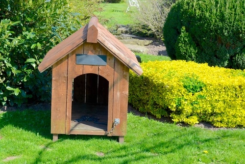 Caseta de perro en el jardín