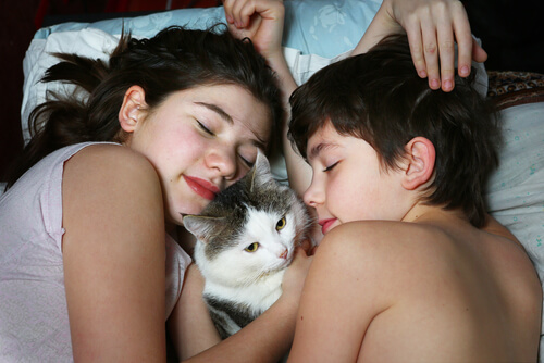 Contagio con gatos