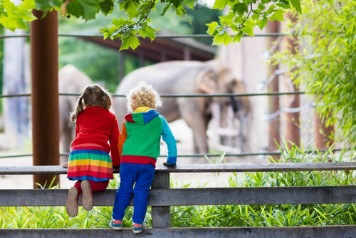 Diferencia entre un zoo y un santuario