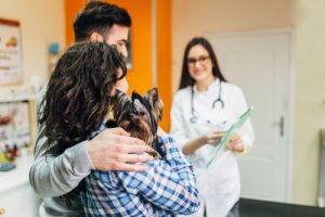 Precauciones a la hora de llevar a un perro de visita al hospital