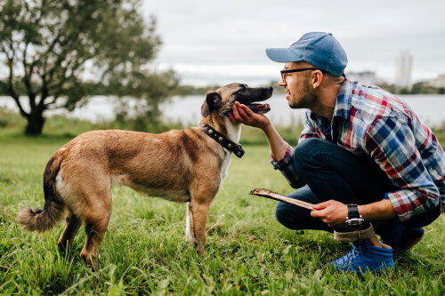 Imagen de perro con su dueño que demuestra que es posible saber cómo elegir el perro adecuado.