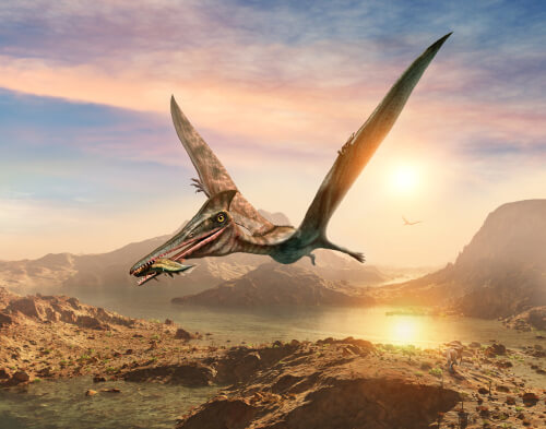 Pterosaurio volador