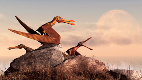 Pterosaurios: características