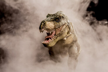 11 curiosidades sobre el Tiranosaurio rex que no conocías