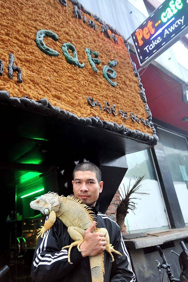 Un café en Hanói en compañía de mascotas