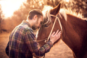¿Cómo saber si tu caballo te quiere?