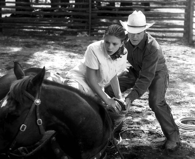 El hombre que susurraba a los caballos.