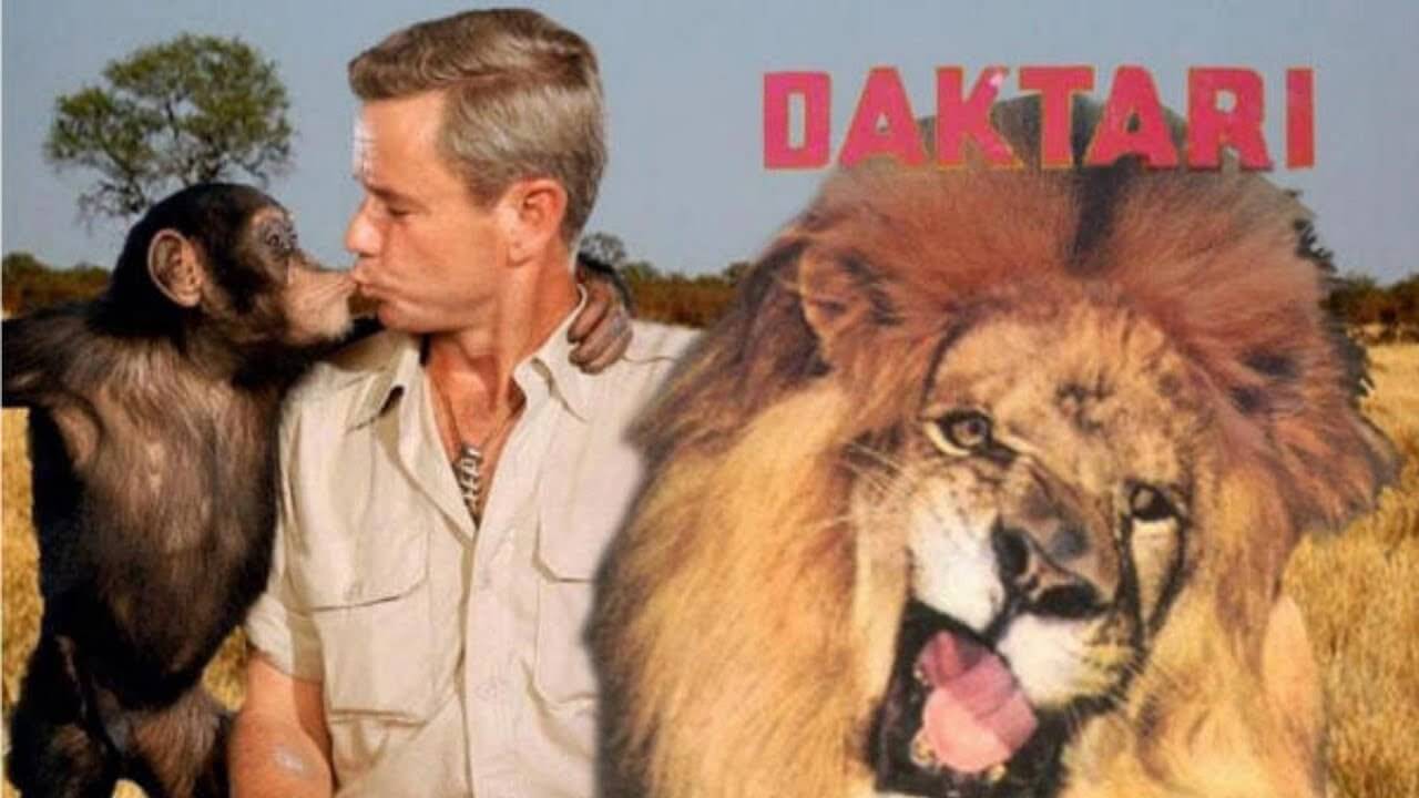 Daktari.