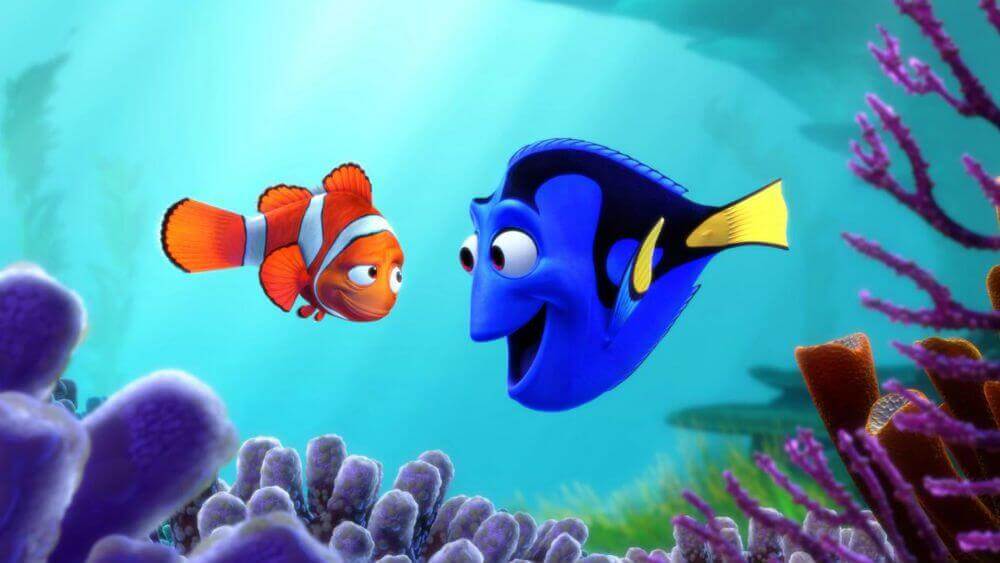 Pez dori de buscando a nemo.