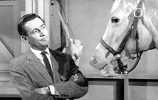 Mr. Ed serie.