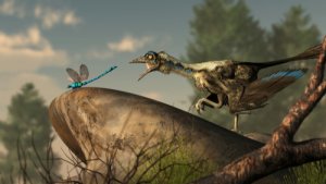 ¿Cuál es el origen de las aves?