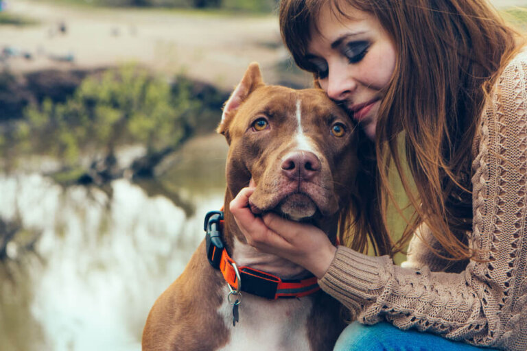 Adoptar perros adultos: ventajas y desventajas