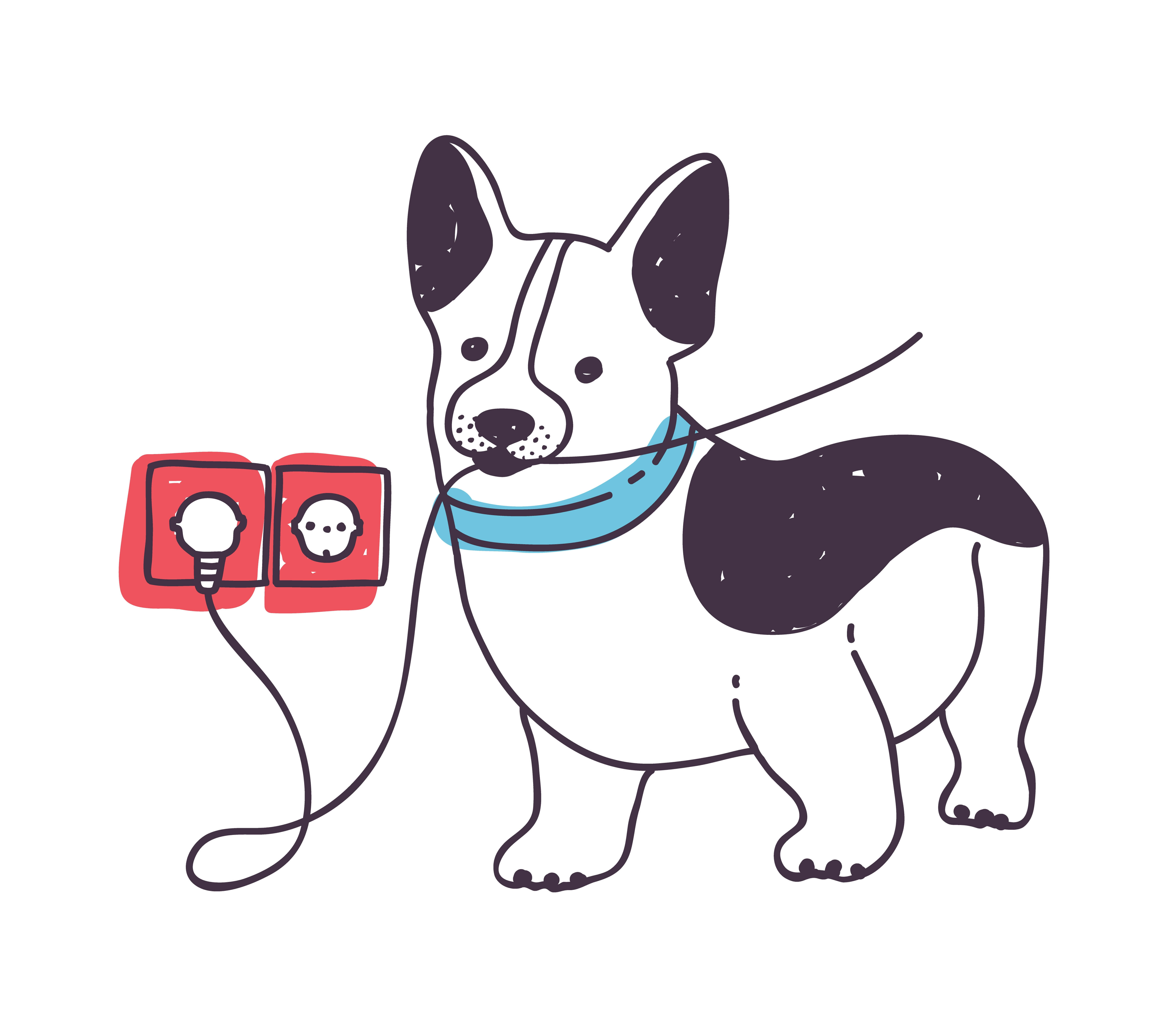 Perro muerde cable