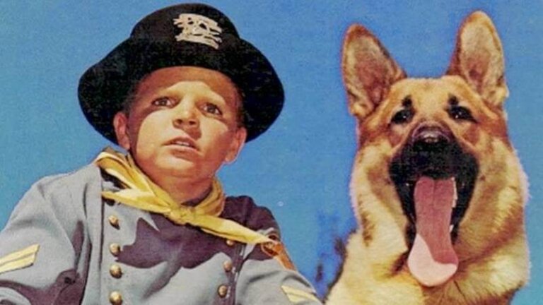 Antiguas series de TV protagonizadas por animales