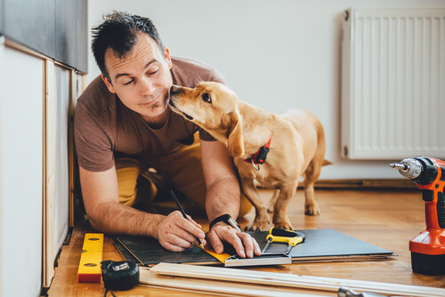 Ya se puede trabajar con tu perro en Tailandia