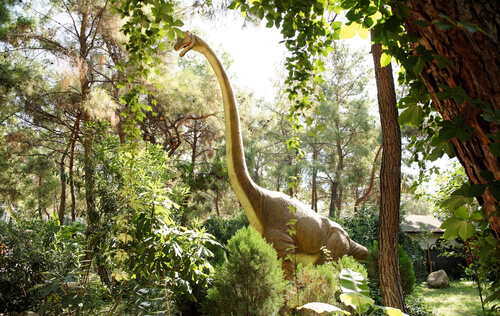 Dinosaurios herbívoros: Brachiosaurus