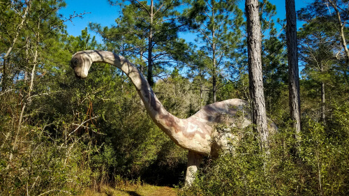 Dinosaurios herbívoros: Brontosaurus