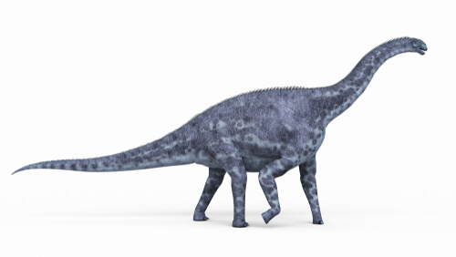 Dinosaurios herbívoros: Cetiosaurus